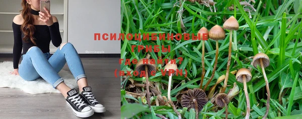 шишки Навашино