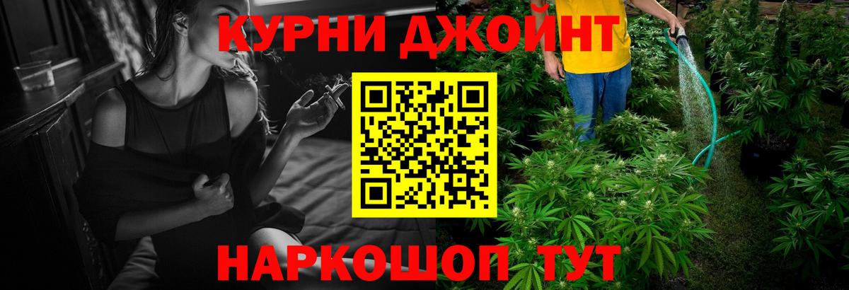 Канабис план  Марихуана сатива  Марихуана планчик  Канабис конопля  Скопин 